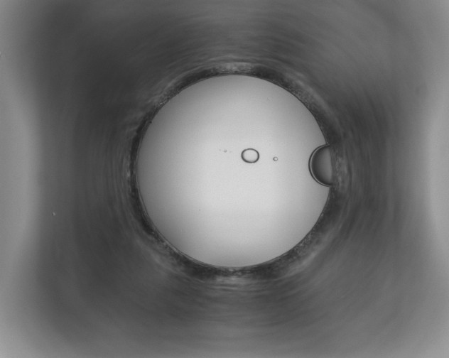 X0000113170259200909040940