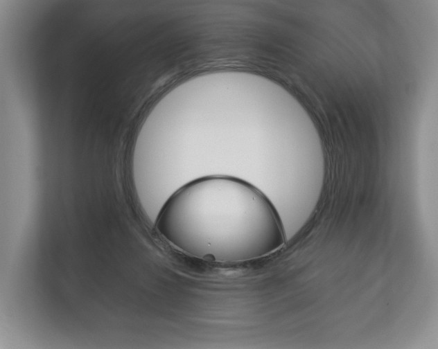 X0000113170260200909040940