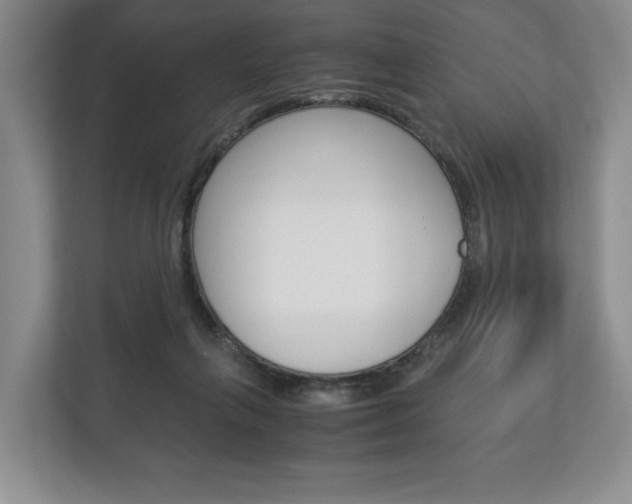 X0000113170263200909040940