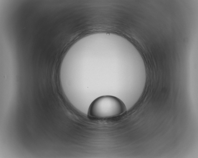 X0000113170264200909040940