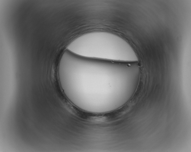 X0000113170266200909040940