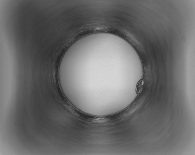 X0000113170269200909040940
