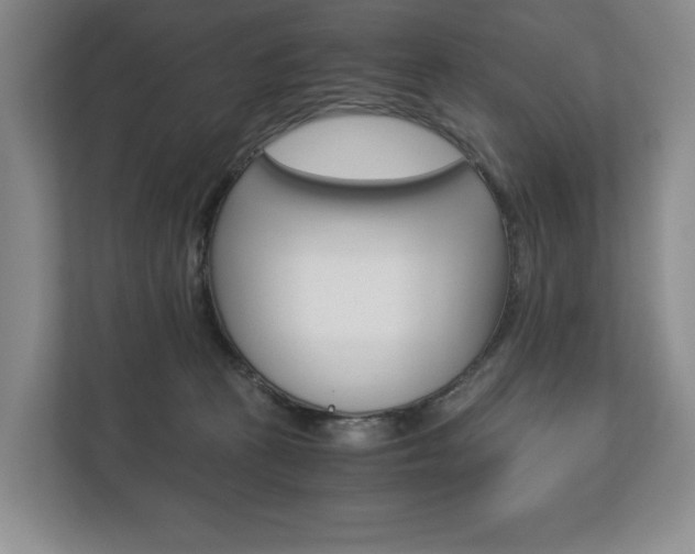 X0000113170273200909040940