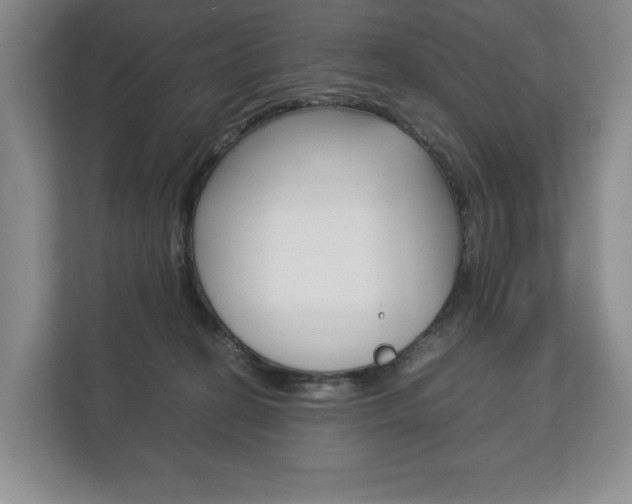 X0000113170274200909040940