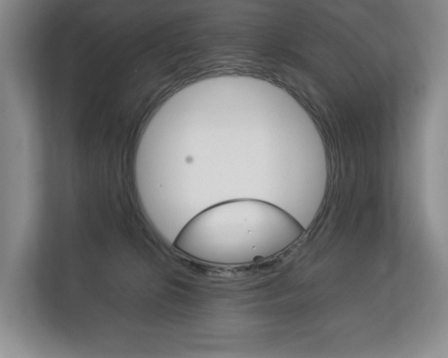 X0000113170276200909040940