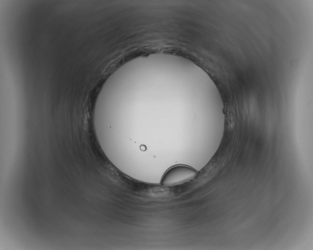 X0000113170279200909040940