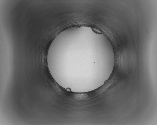 X0000113170281200909040940