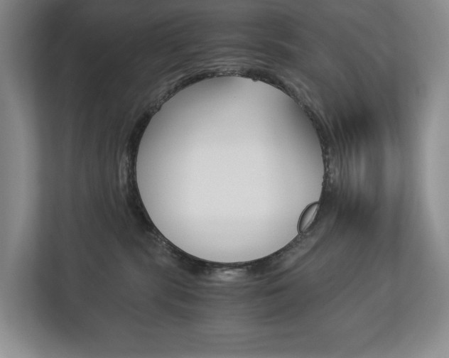 X0000113170283200909040940