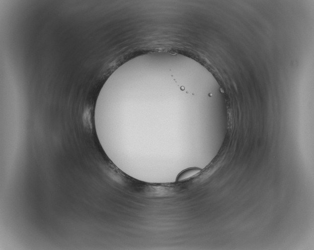 X0000113170286200909040940