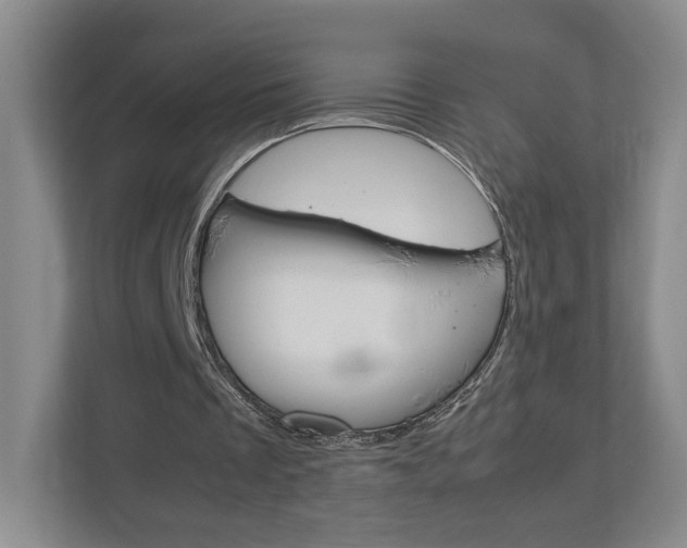 X0000113170289200909040939