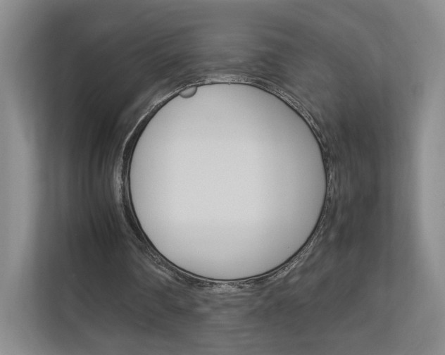 X0000113170290200909040939