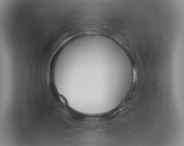 X0000113170291200909040939