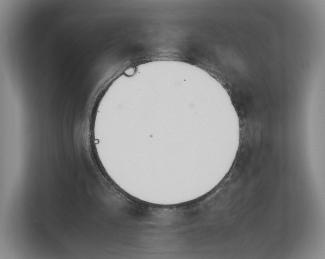 X0000113170293200909040939