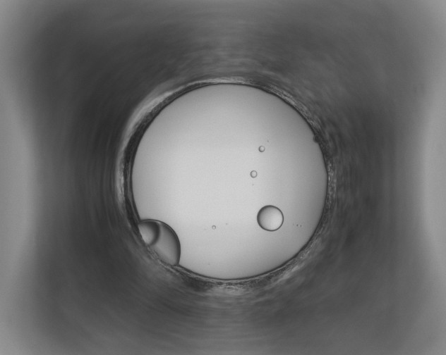 X0000113170294200909040939