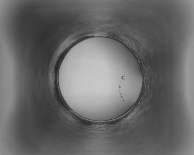 X0000113170295200909040939