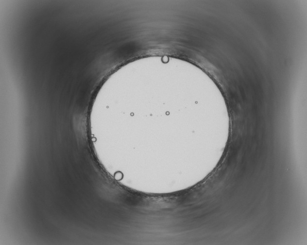 X0000113170297200909040939