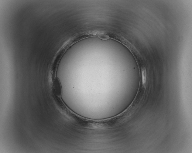 X0000113170300200909040939