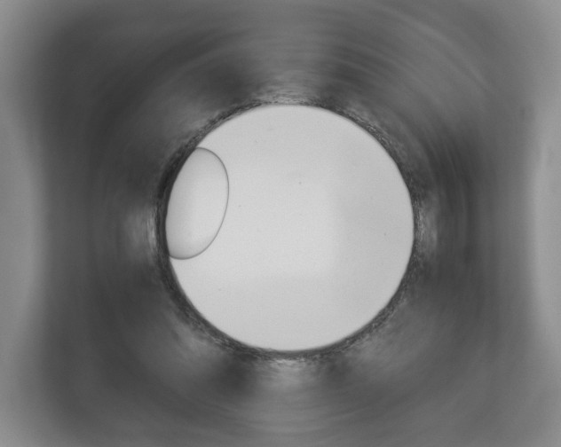 X0000113170302200909040939