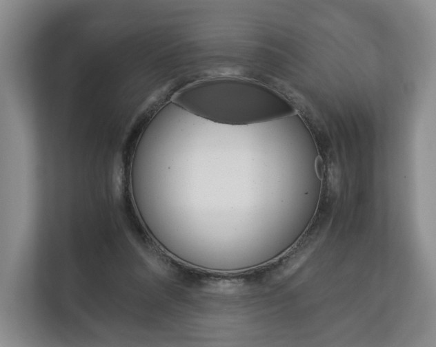X0000113170304200909040939