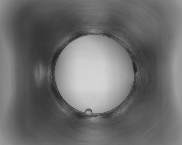 X0000113170306200909040939