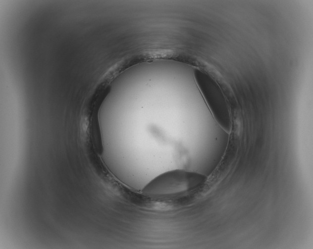 X0000113170308200909040939