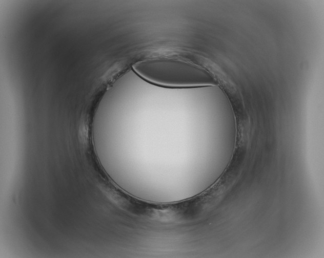 X0000113170309200909040939