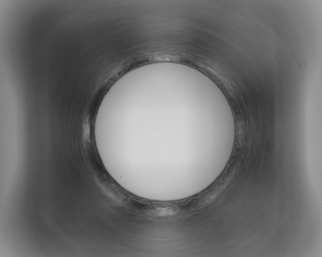 X0000113170310200909040939
