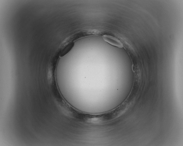 X0000113170312200909040939