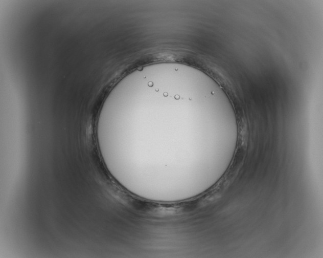 X0000113170314200909040939
