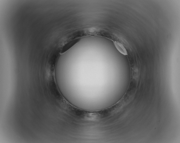 X0000113170324200909040939