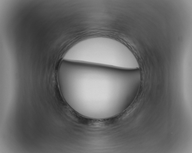 X0000113170325200909040939
