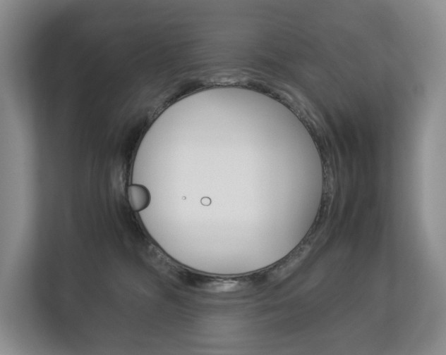 X0000113170326200909040939