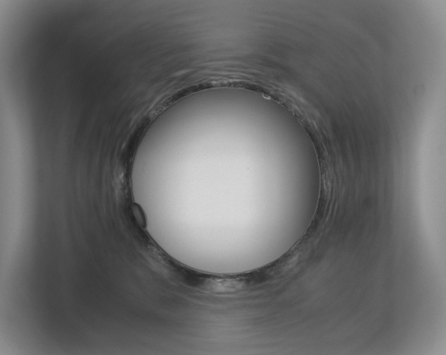 X0000113170327200909040939
