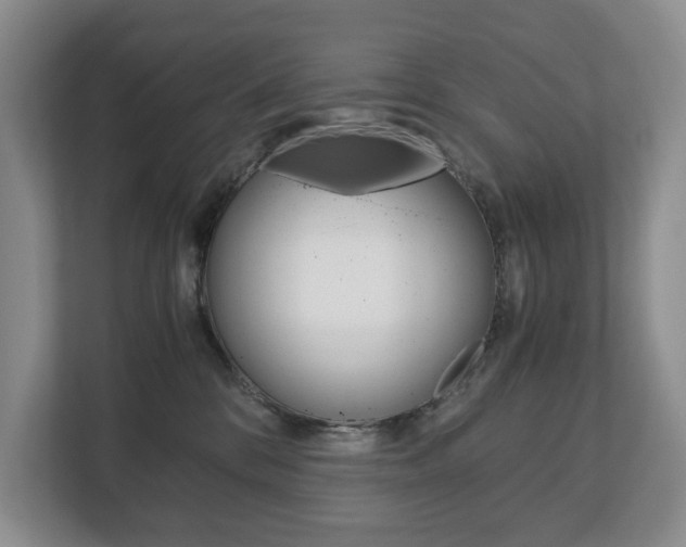 X0000113170328200909040939