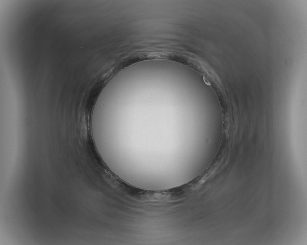 X0000113170329200909040939