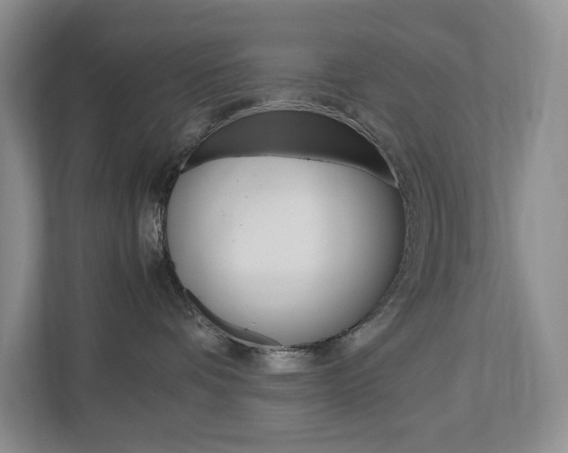 X0000113170336200909040939