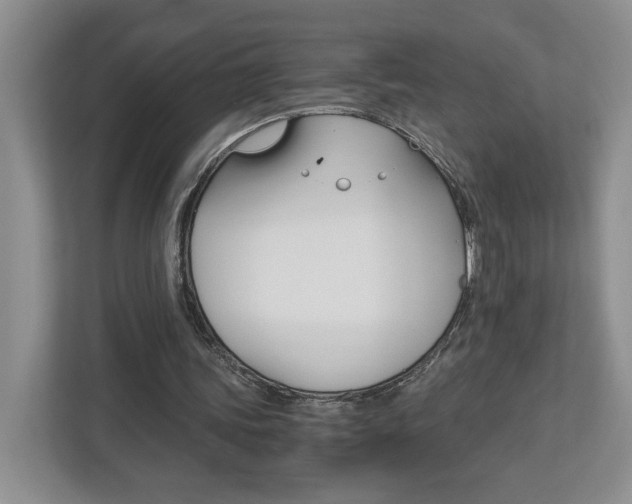 X0000113170339200909040938