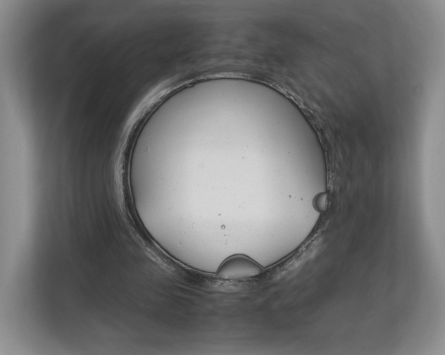 X0000113170341200909040938