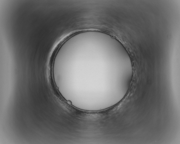X0000113170342200909040938