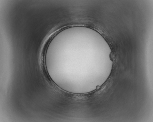 X0000113170343200909040938