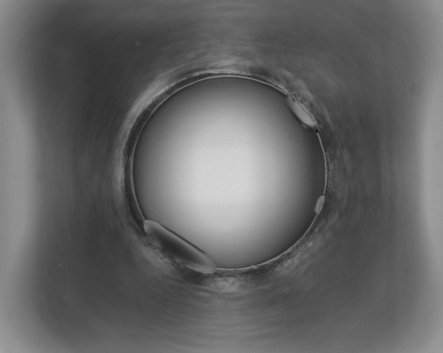 X0000113170344200909040938