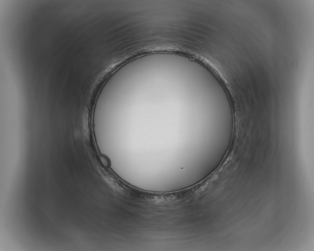 X0000113170345200909040938