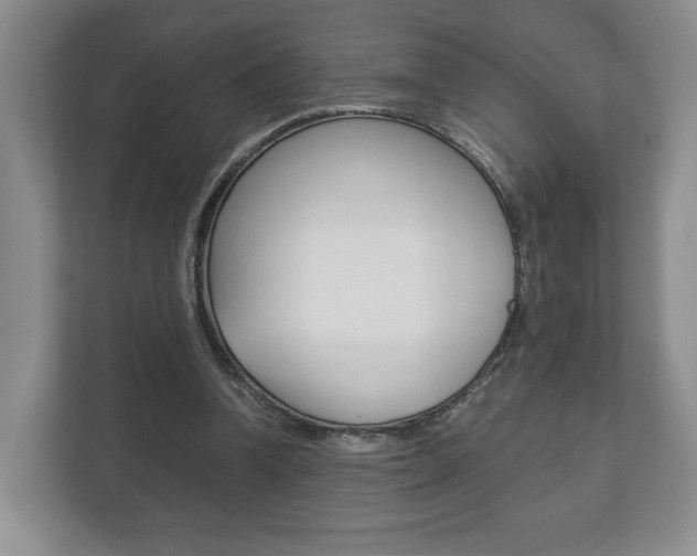 X0000113170346200909040938