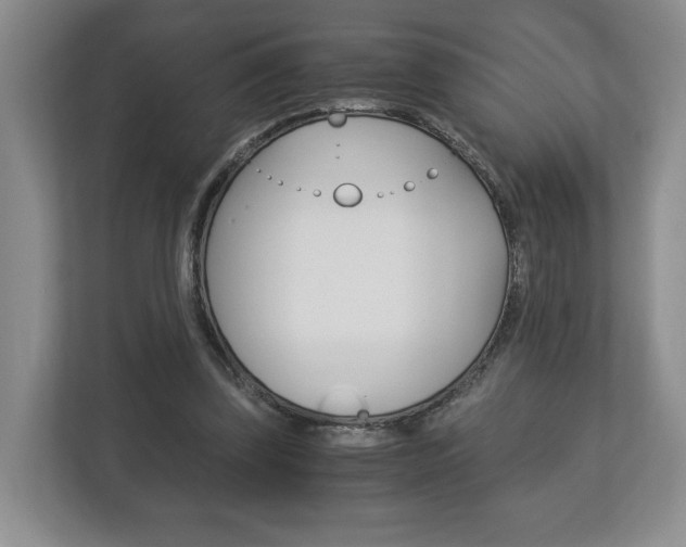 X0000113170347200909040938