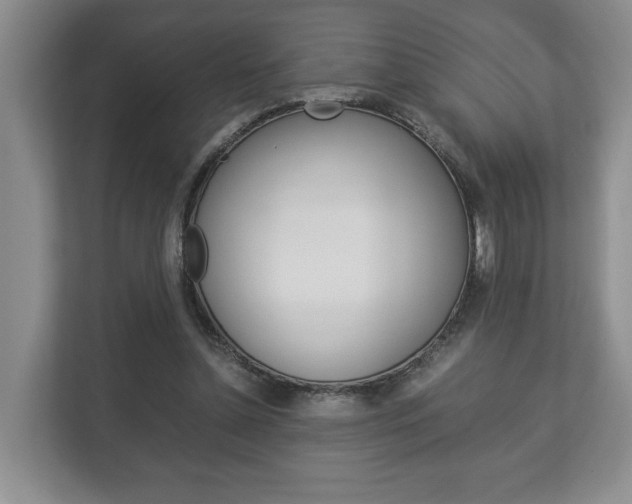 X0000113170348200909040938