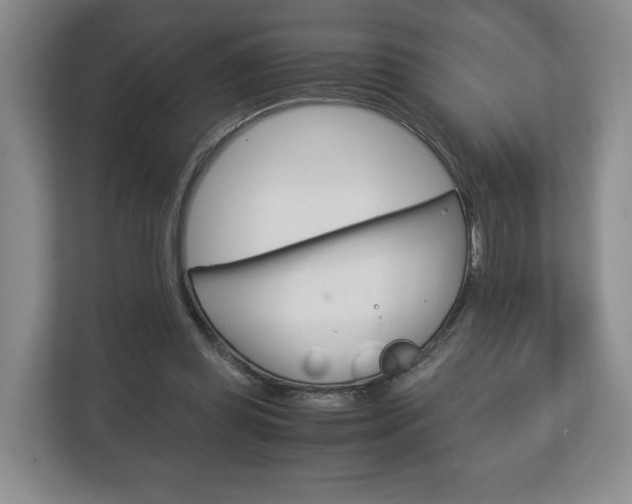 X0000113170349200909040938