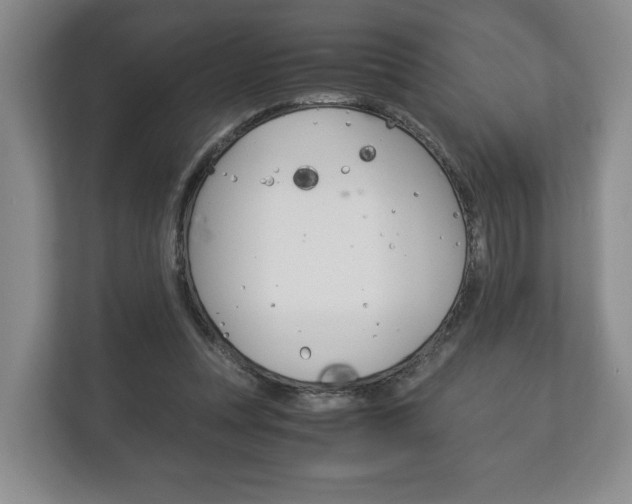 X0000113170351200909040938