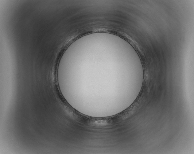 X0000113170353200909040938