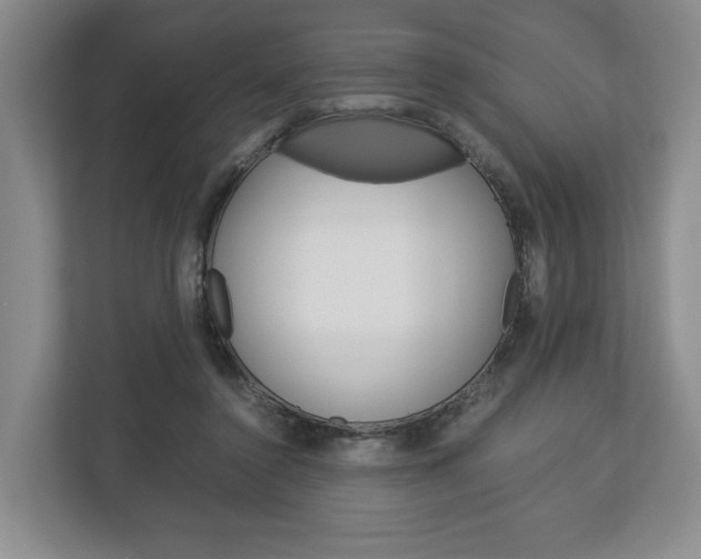 X0000113170356200909040938