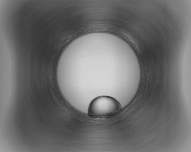 X0000113170362200909040938